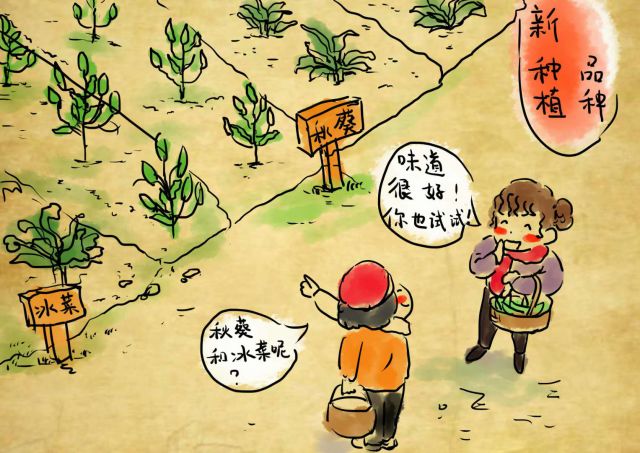 新农村日记|QQ农场主孙健:这儿有令人向往的田园生活