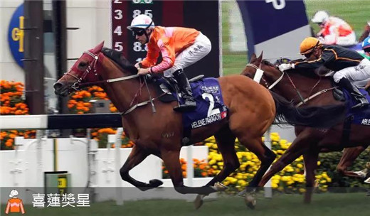 香港三冠赛首关1000万奖金来袭，参赛马匹名单公布