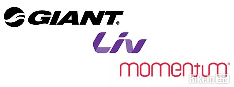 最新年度品牌销售排行榜,2018单品销量世界前十