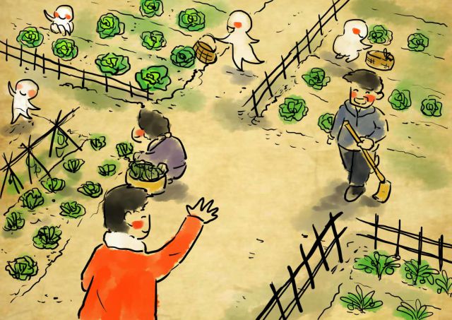 新农村日记|QQ农场主孙健:这儿有令人向往的田园生活