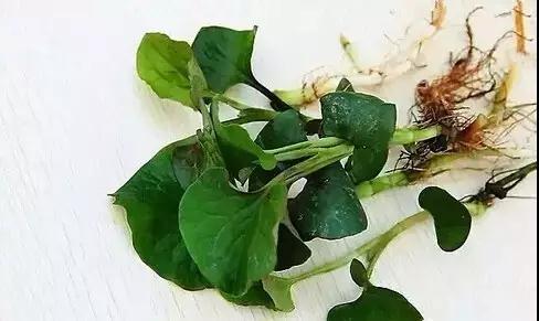 防雾霾靠大家人都要从自己做起,关注空气质量对抗雾霾的方法