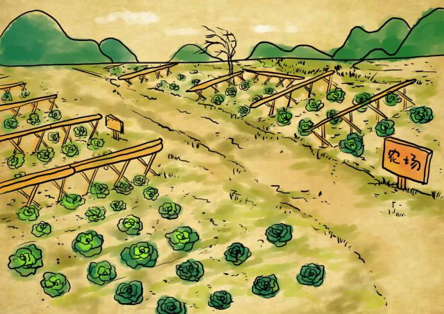 新农村日记|QQ农场主孙健:这儿有令人向往的田园生活