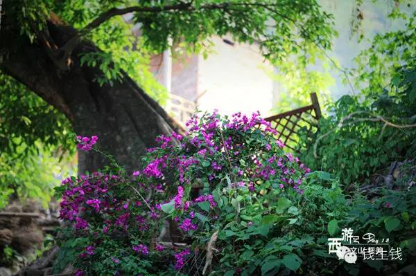 小两口自驾游19000多公里，西行64天，超美！