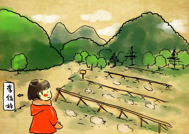 新农村日记｜QQ农场主孙健：这儿有令人向往的田园生活