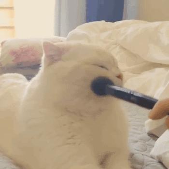 适合新年的简单妆容教程,新年妆容从底妆开始的教程