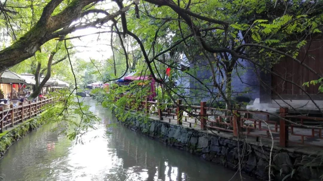 成都周边草莓采摘园基地,成都周边草莓什么地方又好又便宜