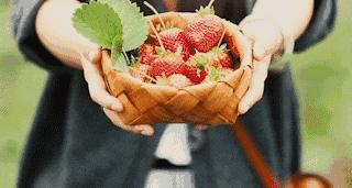 成都周边草莓采摘园基地,成都周边草莓什么地方又好又便宜