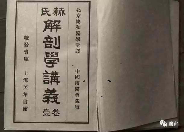 豆瓣日记:北漂杀人回忆：老家回不去，城里留不下，你叫我去死？|北洋夜行记024