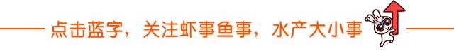罗非鱼最低温度多少度才能过冬,罗非鱼在气温几度以下会冻死