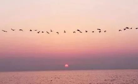 送的礼物从来就不会让人失望,送礼物的人不重要