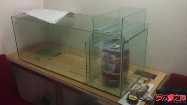 开局只有一万块钱,开局3000块装备全靠捡