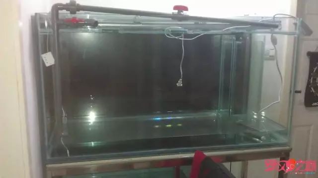 开局只有一万块钱,开局3000块装备全靠捡