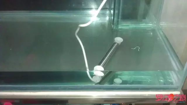 开局只有一万块钱,开局3000块装备全靠捡