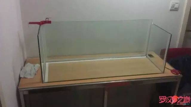 开局只有一万块钱,开局3000块装备全靠捡