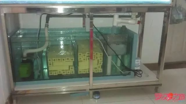 开局只有一万块钱,开局3000块装备全靠捡