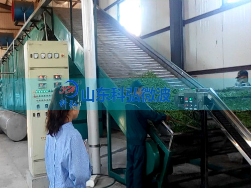 茶叶杀青机是光波好还是微波好用,销售茶叶微波杀青机哪家好