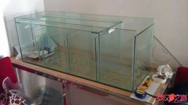 开局只有一万块钱,开局3000块装备全靠捡