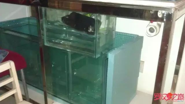 开局只有一万块钱,开局3000块装备全靠捡