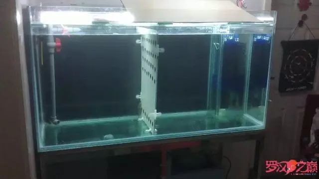 开局只有一万块钱,开局3000块装备全靠捡