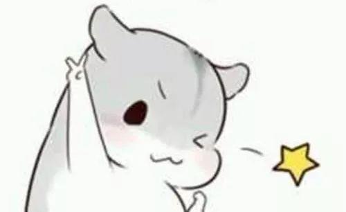 黔东南人的热情生活,黔东南人一年是怎么过的