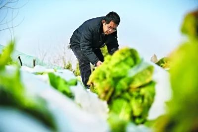 扶贫路上助力脱贫攻坚,脱贫攻坚第一线