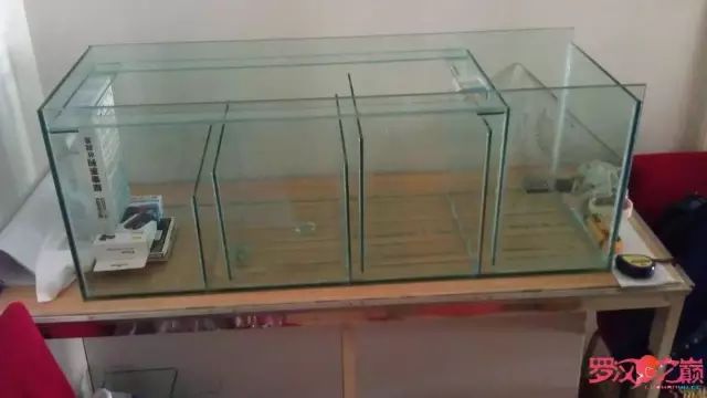 开局只有一万块钱,开局3000块装备全靠捡