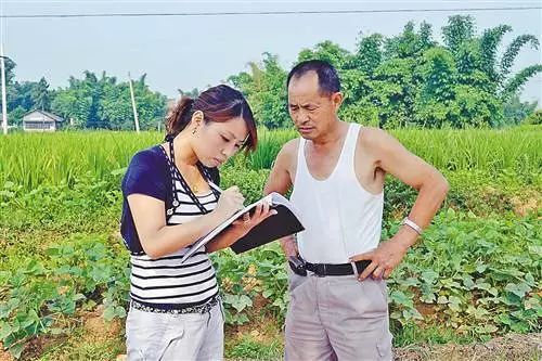 「小渝姐说故事」小村官的大梦想,创业致富“在村头”