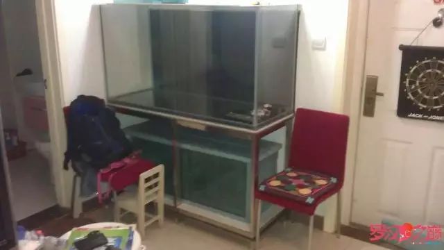 开局只有一万块钱,开局3000块装备全靠捡