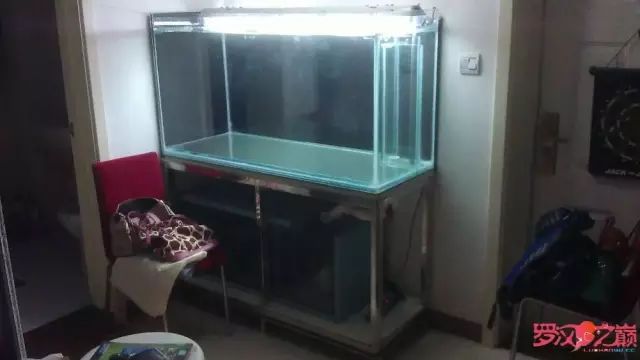 开局只有一万块钱,开局3000块装备全靠捡