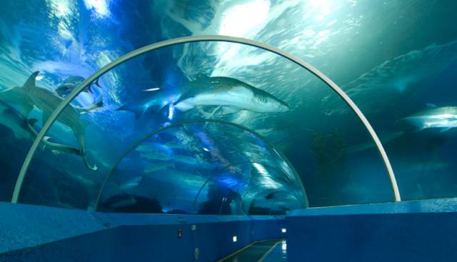 青岛春节香港旅游攻略,青岛春节自驾旅游攻略