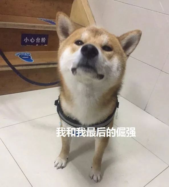 「晋江囧仙」儿子弄丢5块钱地铁票，妈妈急得动手：我没这么多钱……