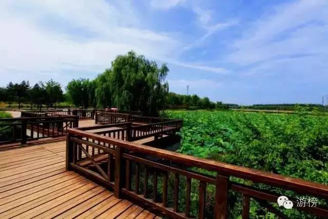 五一劳动节探险王国,五一假期丛林探险