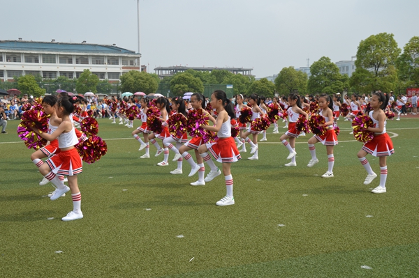 浙师大体院校园足球赛,浙师大附属实验学校运动会