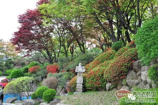 五一韩国游火爆吗,去韩国扫货注意什么