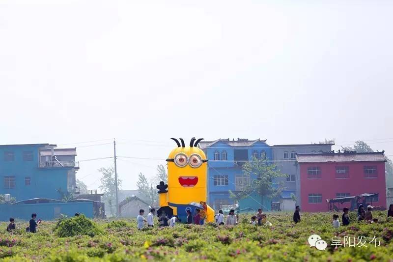 界首有个*瑰园玫**,美爆了!没去别后悔~