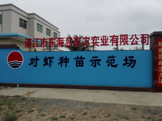 最好的虾苗品牌,新品虾苗