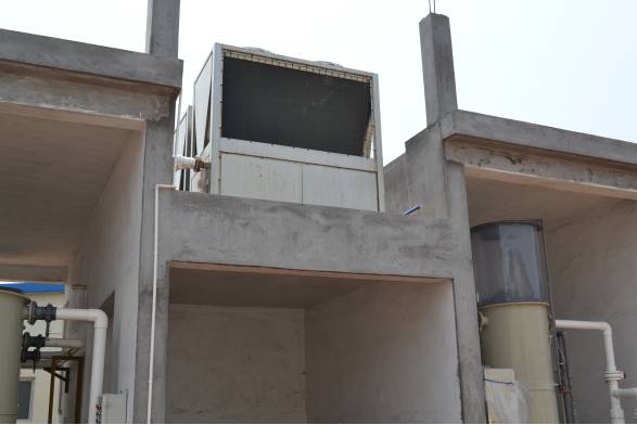 最好的虾苗品牌,新品虾苗