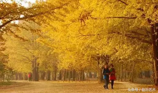 临沂景色有多美,临沂的独特风光