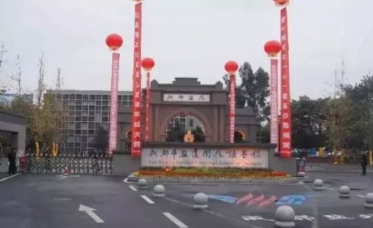 成都武侯区私立小学排名前十名,成都读公立小学还是私立小学好