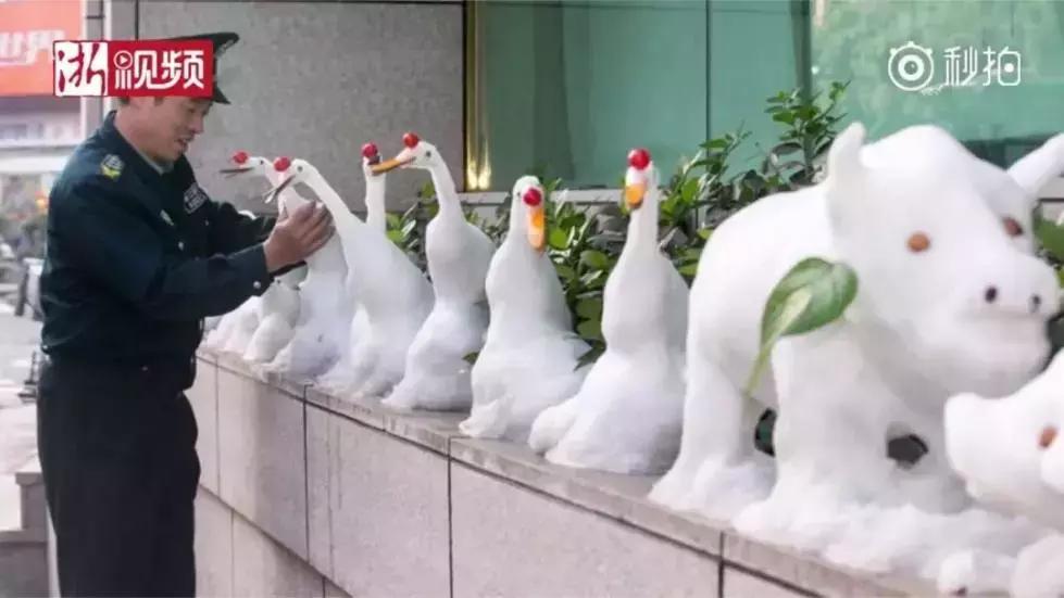 雪下得那么深那么认真下句怎么接,雪下得那么深那么认真全部歌词