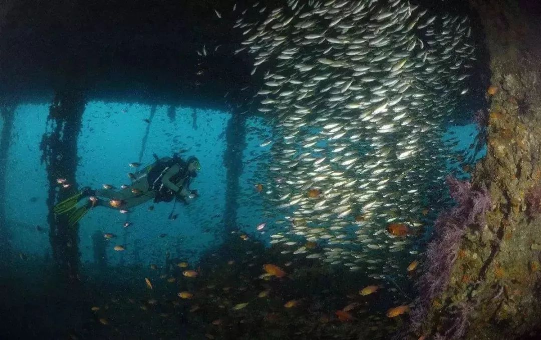 酷潜潜水普吉岛,普吉岛潜水不会游泳可以潜吗