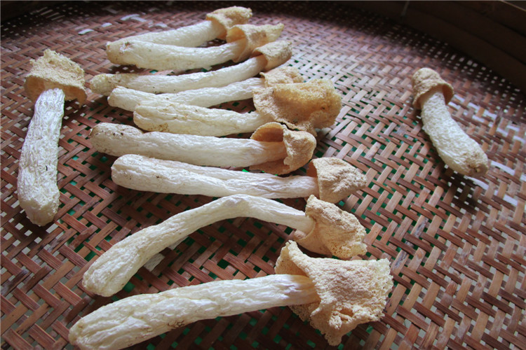 又是一年中最好的进补时节,竹荪最滋补吃法