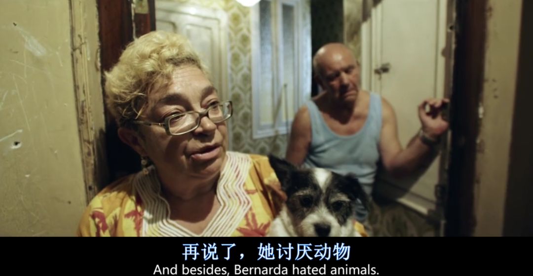 尺度大到犯规,却是一部良心好片