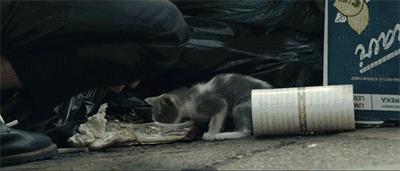 尺度大到犯规,却是一部良心好片