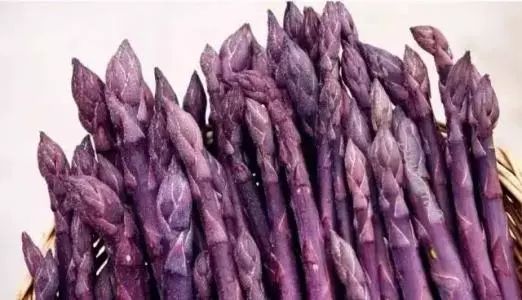 芦笋长得又小又细怎么回事,芦笋长得很细很短什么原因