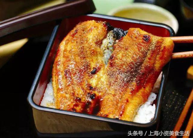 鳗鱼饭中的鳗鱼要灭绝了吗,好吃到停不下口的鳗鱼饭