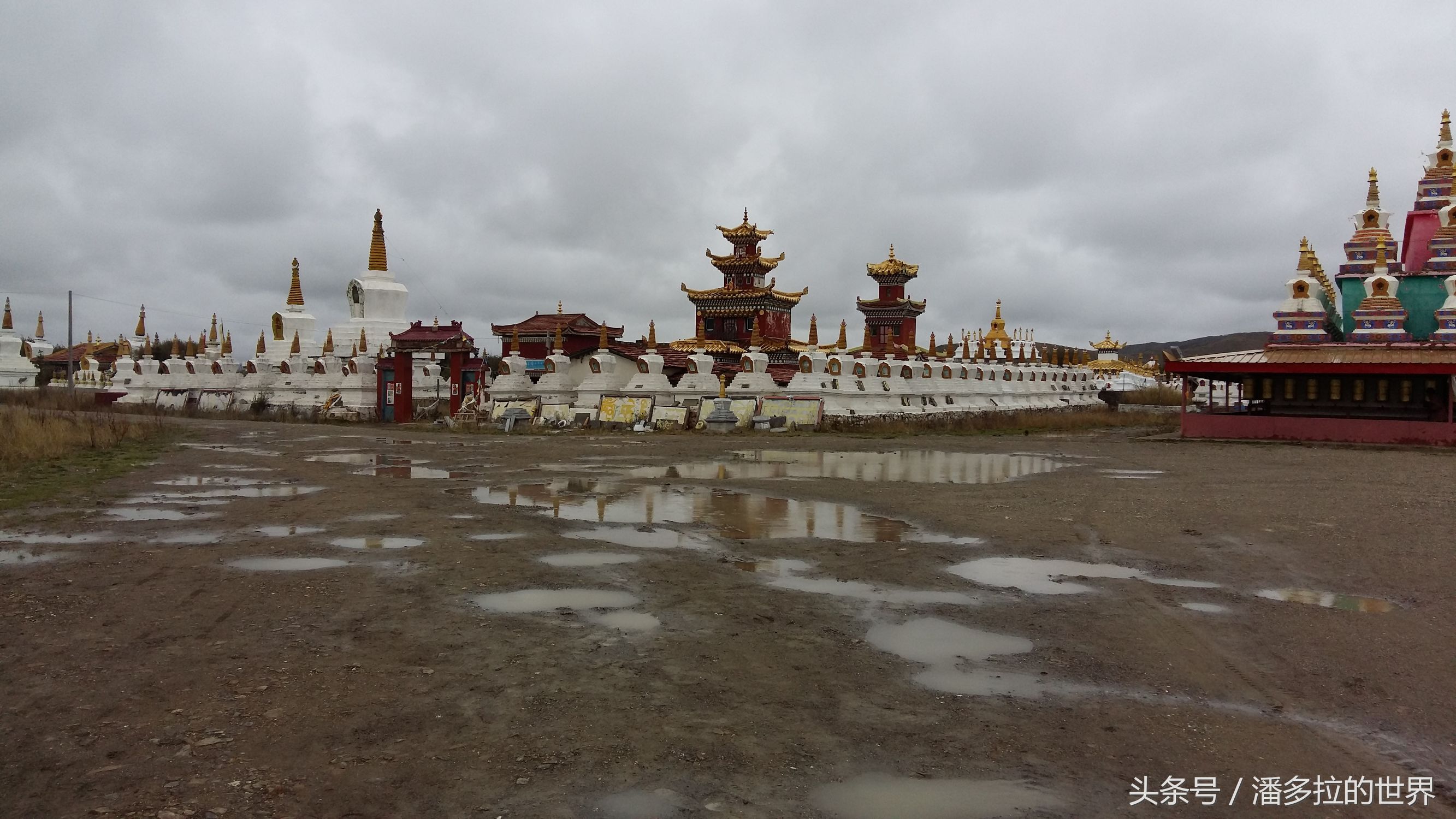 若尔盖大草原到底好不好玩,若尔盖大草原有没有沙漠