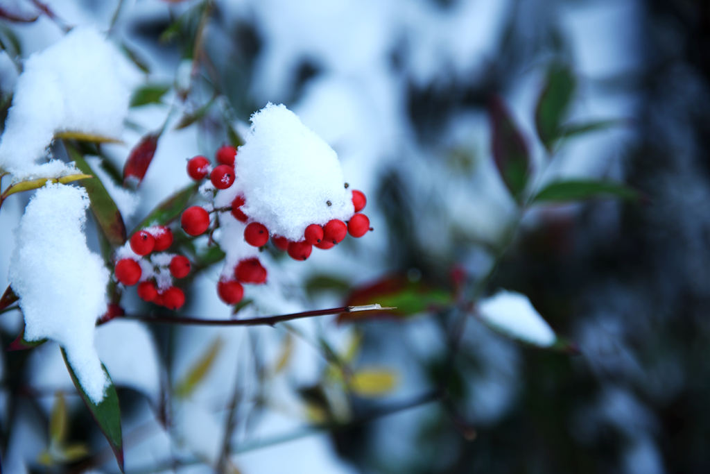 小雪装饰主题墙,小雪装饰装修