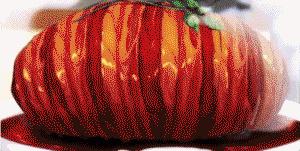 老人食物搅拌器,万能食物搅拌机