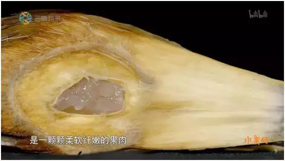 这部汁液四溅的作品勾起了所有人的欲望